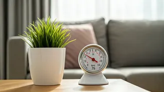 Simple Tricks To Keep Homes Dry