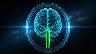 Space Travel's Impact: How Flights Alter the Body