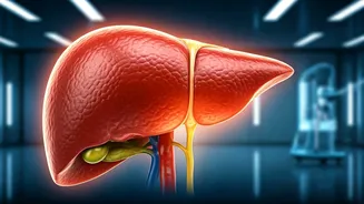Protect Your Liver: A Guide to Liver Health