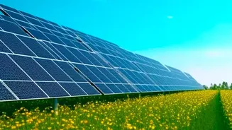 How Low-Cost Perovskite Solar Innovations Bring Cheaper Power Bills To Households