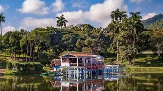 Affordable Coffee Estate Stays Blend Nature, Hospitality And Value