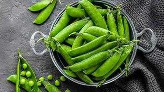 Grass Pea Packs Plant Protein, Amino Acids, Iron And Magnesium