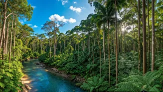 5 South American Parks: Explore Nature's Wonders