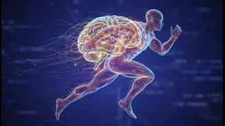 Sleep And Exercise Research Is Moving Beyond Single-Habit Health Advice