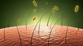 Beyond the Flakes: Unraveling the Science of Dandruff and Scalp Health