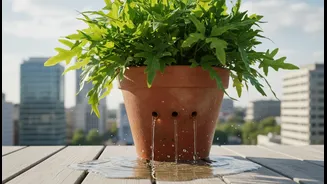 Balcony Plant Care Gets Easier When Excess Rainwater Flows Away Quickly