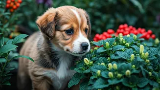 ASPCA Report Highlights Nine Common Plants Dangerous For Puppies