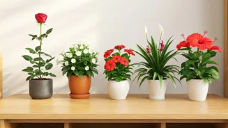 Vastu's Blooming Secrets: Cultivating Love & Harmony with 5 Enchanting Home Plants