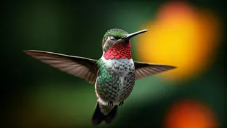 Beyond the Snooze Button: Animals That Master the Art of Minimal Sleep