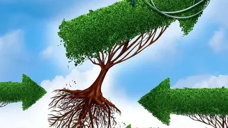 How A 10% Annual Step-Up In SIP Mutual Funds Builds Massive Portfolios