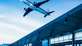 Flight Status Guide: Checking Airline Updates Before An International Journey