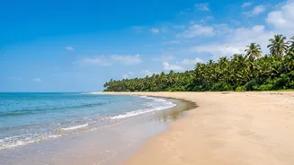How Remote Workers Escape Urban Stress Moving To Goa Post Monsoon Stays