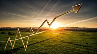 July Is Serious For Active Market Traders