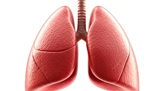 Breathe Easy: Simple Lung Health Checks at Home
