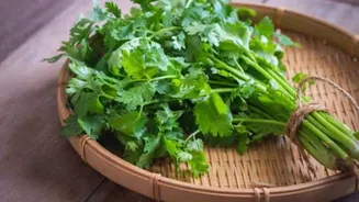 How to use cilantro in cooking