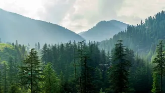 Himachal's fish production likely to reach 19,000 metric tonnes in FY26: CM