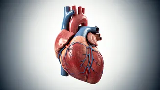 Omega-3: Why Indians Often Miss Out & Its Impact