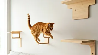 Give Your Indoor Cat Freedom With Vertical Wall Bridges