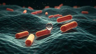 8 Simple Daily Habits for a Healthier Gut, According to a Harvard Doctor