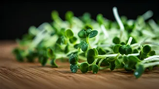 Related Stories banner