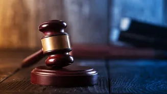 Top 10 court cases that defined 2025: Aravalli definition, stray dogs, corporate rulings and more