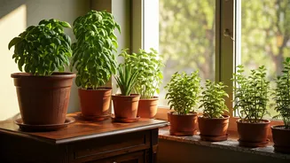 8 Natural Plant Solutions to Naturally Deter Lizards from Your Indian Home