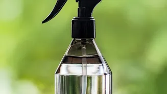 How To Use Neem Oil Sprays To Protect Windowsill Herb Pots From Bugs Without Chemical Harm