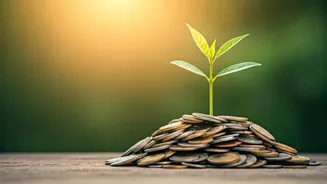 Start Small, Build A Bigger Safety Net