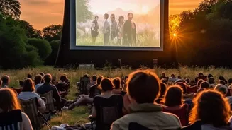 How Cinema Halls Turn Bollywood Releases Into Shared Cultural Events