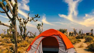 How Cheap Airline Routes Are Opening Up Budget Desert Camping For Indian Travellers