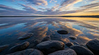 Control Your Senses: The Gita's Path to Peace