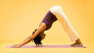 Surya Namaskar Benefits 12 Steps That Deliver Complete Full-Body Exercise Every Morning