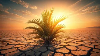 Indian Heat Is Turning Trips Into Rescue Plans