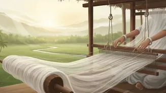 A Fabric, So Fine: Why India's Legendary Muslin Was Nicknamed 'Woven Air'