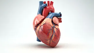 10 Simple Tips for a Longer Life