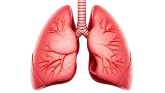Boost Your Lung Health With These 5 Exercises