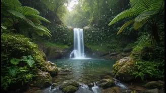 Explore These Hidden Rainy Gems Near Delhi