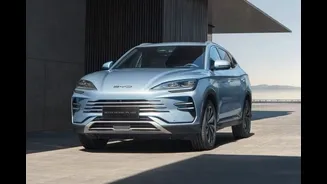 ‘Aposta’ da Localiza pode impactar mercado de carros elétricos usados