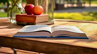 Clear Decisions On Gentle Movement Help Organise Rest-Day Planning