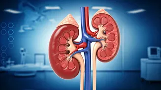 Are You Harming Your Kidneys With These Habits?