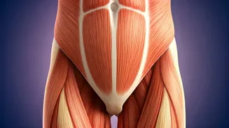 Kegel Exercises: Empowering Women's Health in 5 Minutes!