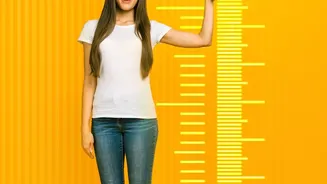 Auto-SIP vs Lump-Sum Stock Bets How Young Investors Achieve Steady Financial Growth