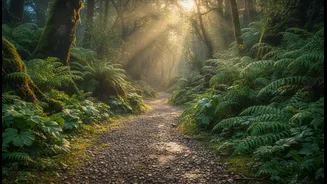 For Better Planning, Green Exercise Can Add Variety to a Desk-Heavy Week