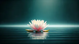 Jay Shetty: Unlocking Inner Purity to Combat Worldly Toxicity