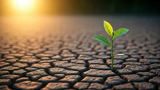 Healing After Heartbreak: 12 Expert Tips for a Healthy Breakup Recovery