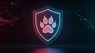 Related Stories banner