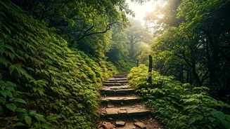 Explore India's Green Paradise One Trek At A Time