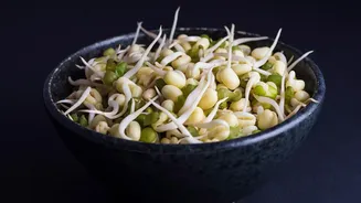 Makhana and Sprouts Create a Fresh Twist on Vrat Food
