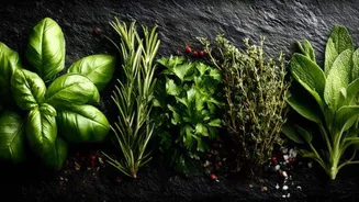 5 herbs that define Mexican vegetarian cuisine