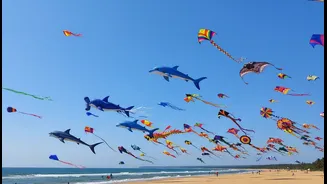 Ahead Of The Independence Day Long Weekend, Tamil Nadu's International Kite Festival Becomes A Timely Story